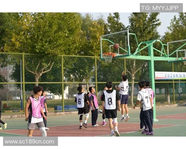 打篮球时如何保持良好秩序避免推挤的实用技巧与注意事项